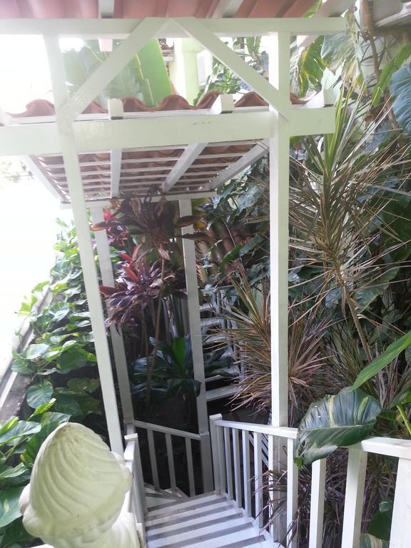 Inn Papaya