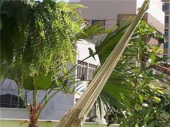 Inn Papaya 3*