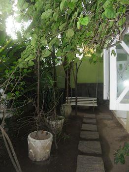 Inn Papaya