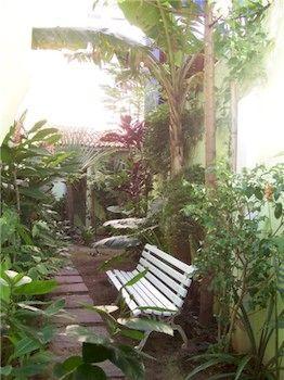 Inn Papaya